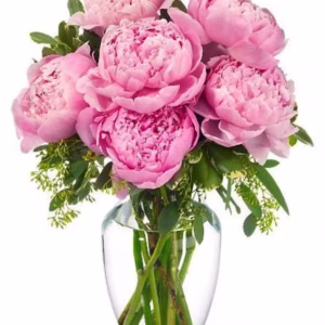 Peonies in Pink