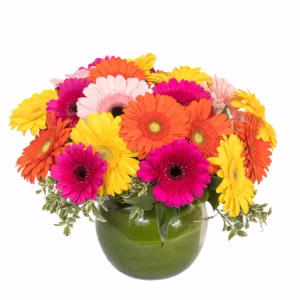 Gerbera Daisy Bowl