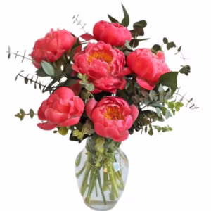 15 Coral Charm Peonies
