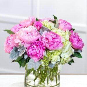 LOVELY PEONIES