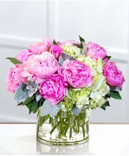 LOVELY PEONIES