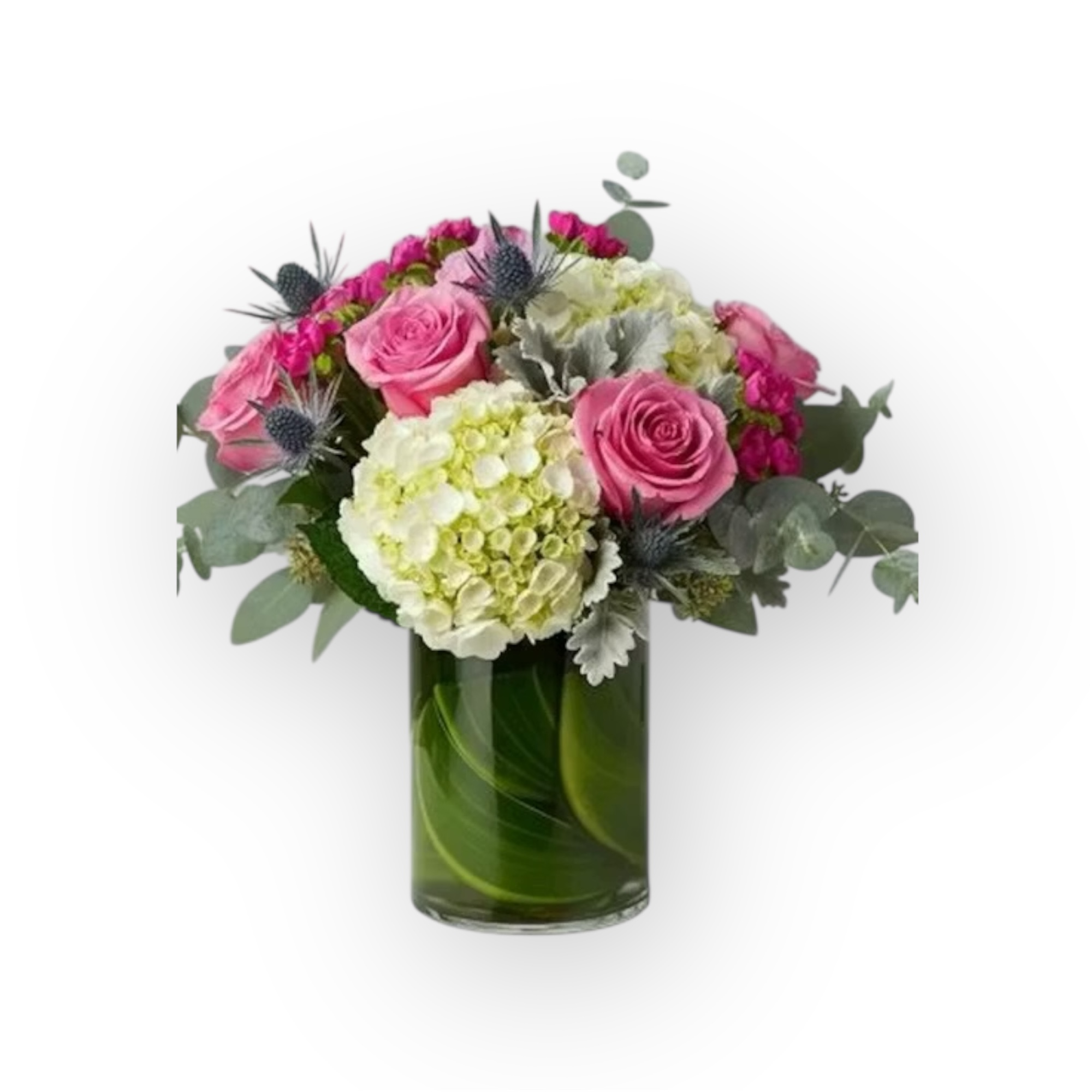 Visions of Happiness