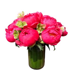 Coral Peonies In Vase