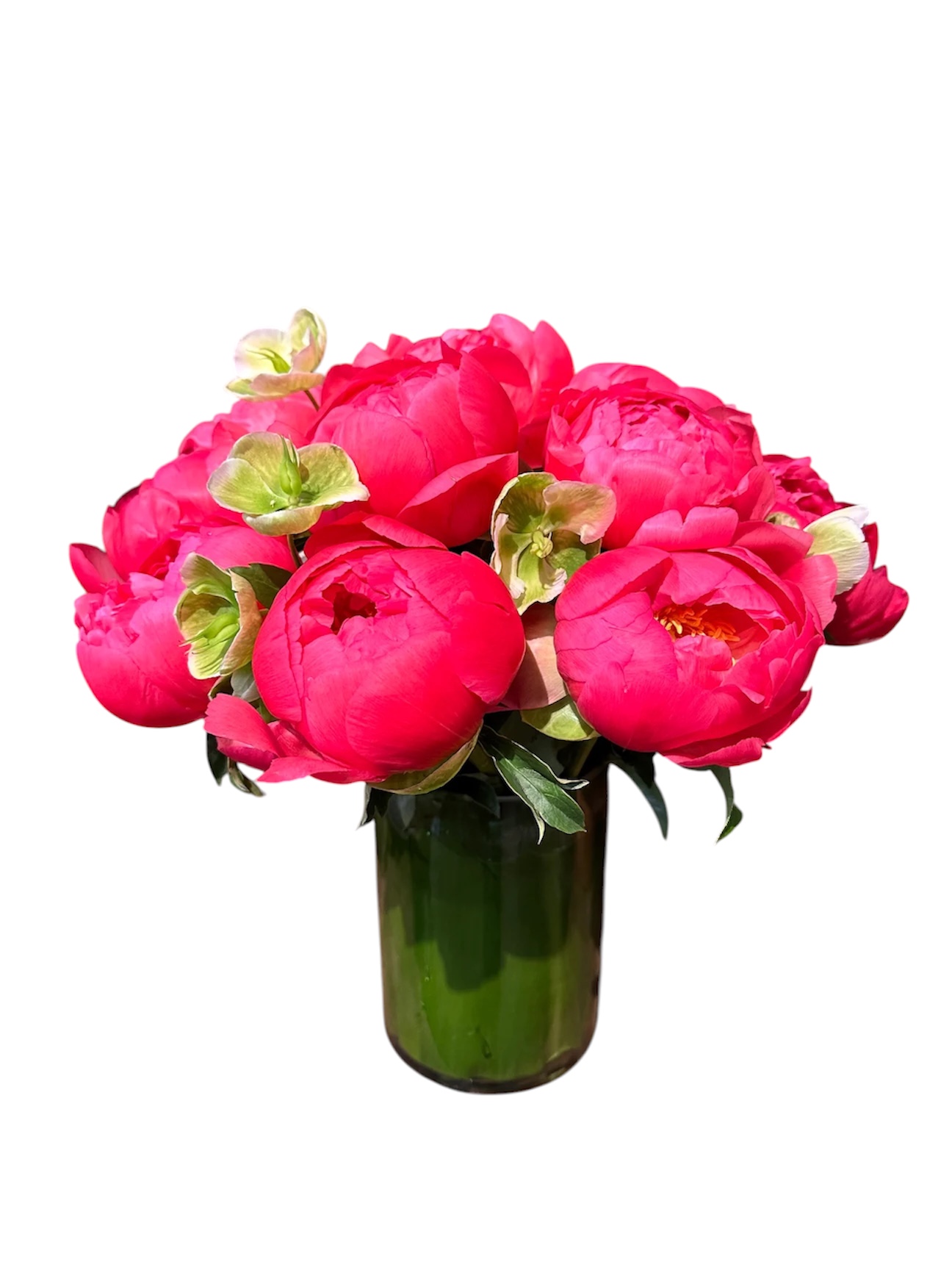 Coral Peonies In Vase